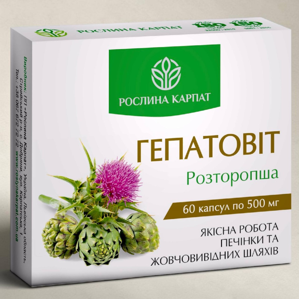 Гепатовіт для підтримки печінки та жовчного міхура