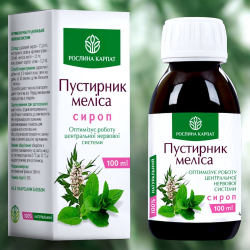 Сироп Пустырник - мелиса (успокаивает и нормализует нервную систему, нормализует сон)